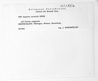 Image Associated With the Occurence